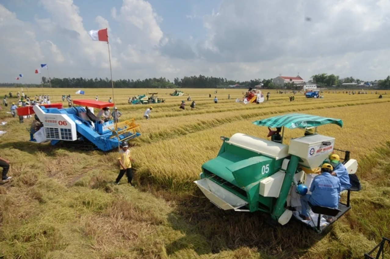 Đồng[-]bằng[-]sông[-]Cửu[-]Long[-]"thuận[-]thiên"[-]để[-]phát[-]triển[-]bền[-]vững